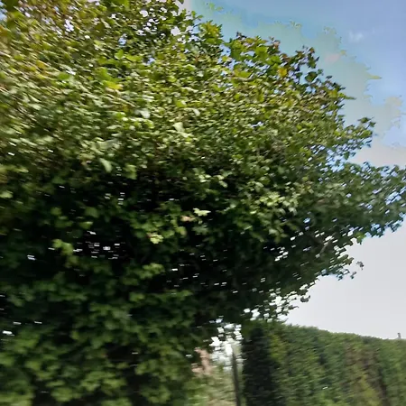 度假居 Nr 9
