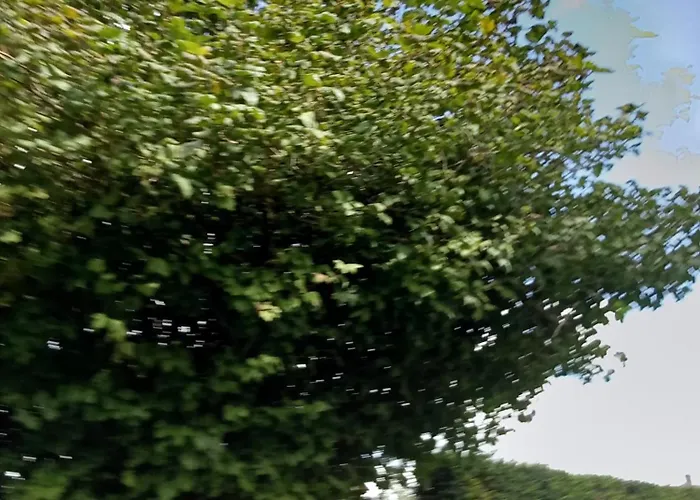 Hébergement de vacances Nr 9